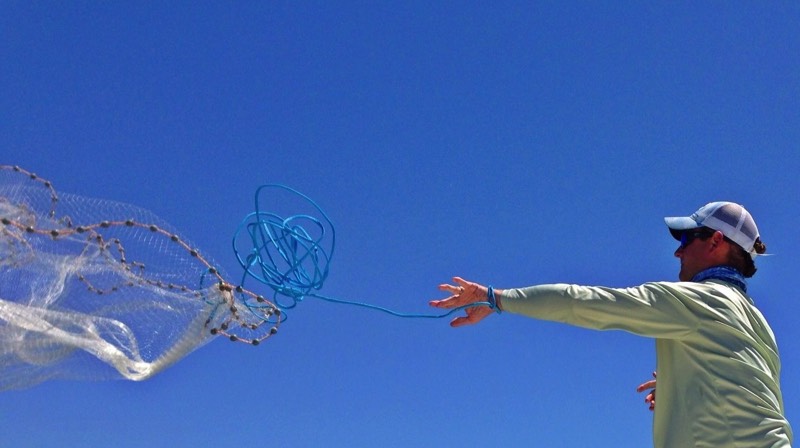 Captain Blair throws a cast net for bait fish