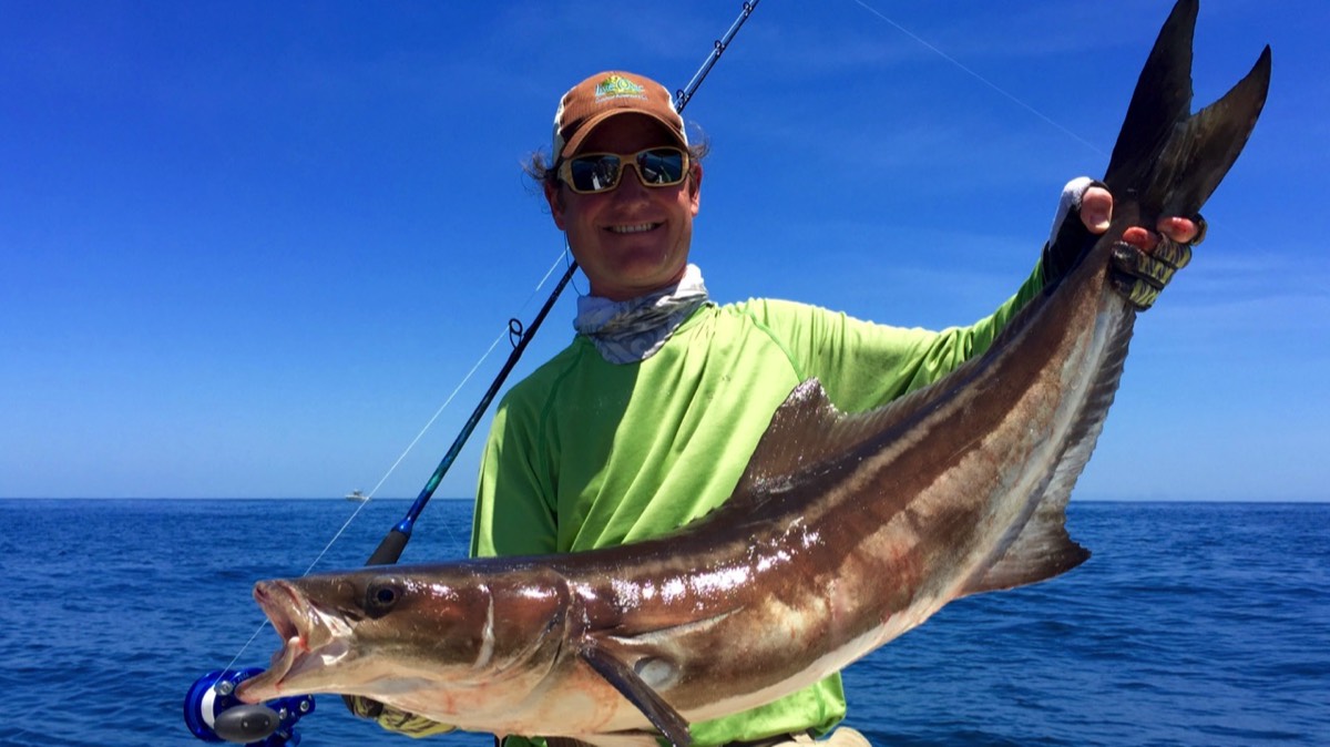 Cobia caught on Hilton Head fishing charter with Captain Blair