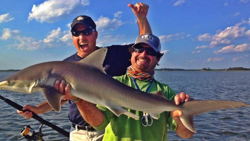Guide holds up shark caught fishing in Hilton Head
