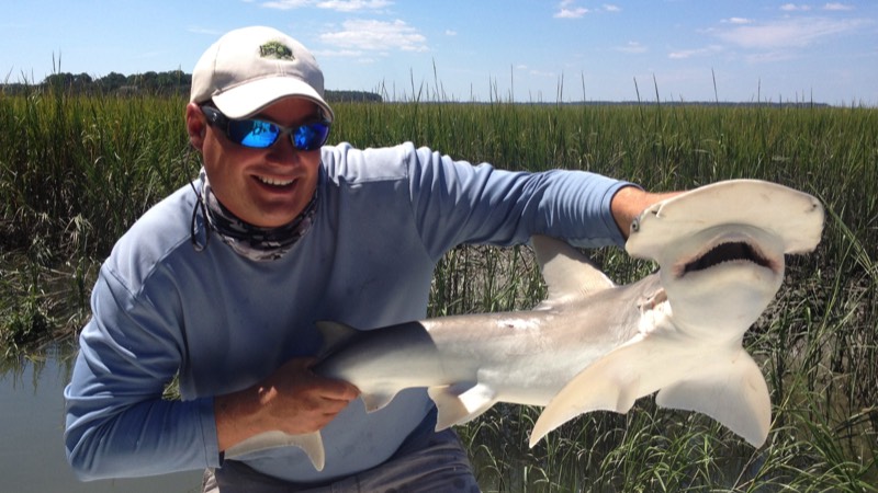 Fishing guide holds hammerhead shark