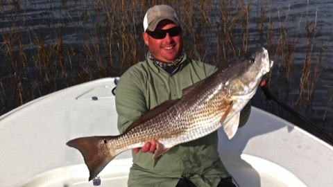 big red fish caught on Hilton Head fishing charter