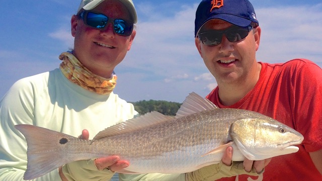 redfish caught on fishing charter in Hilton Head Island SC