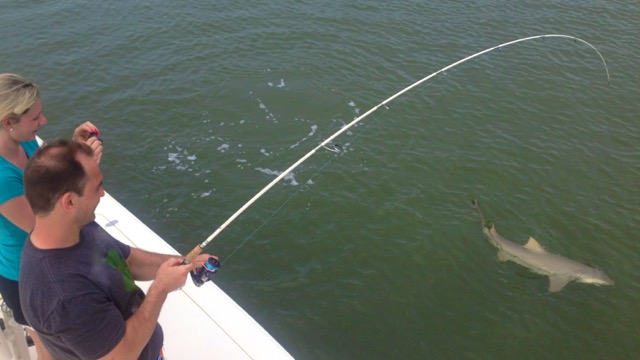 Couple catches a lemon shark near Hilton Head Island